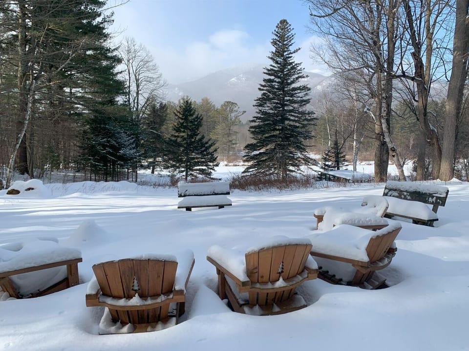 Backyard in Winter