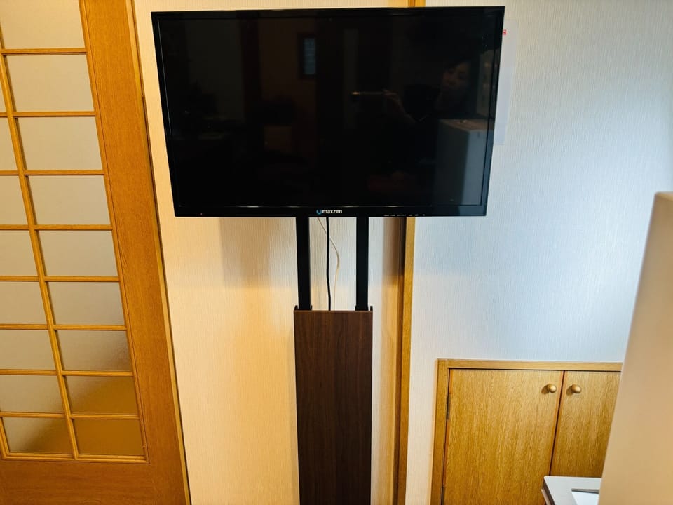 Television