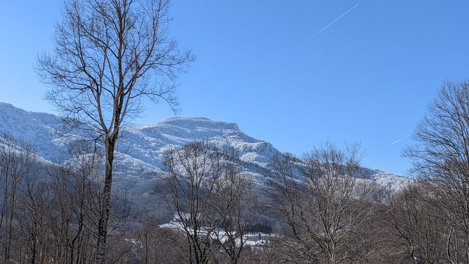 Grandfather view from porch in winter.