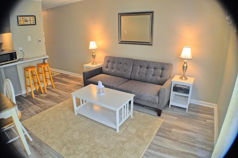 Living Room Additional View