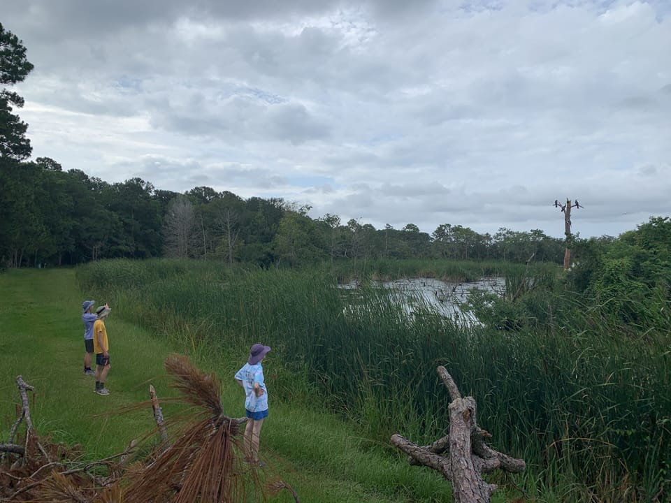 Nearby Pinckney Island Wildlife Refuge 15 min. - see alligators and ibis. 