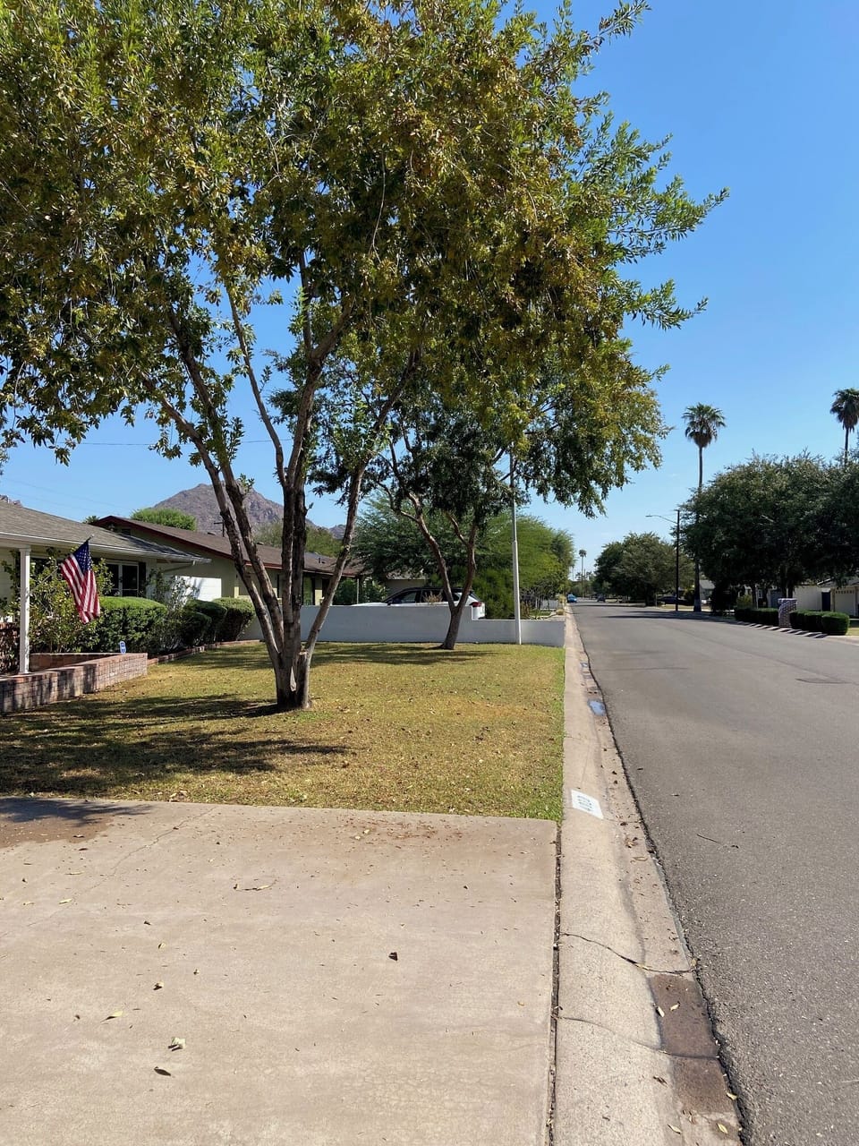 Street view with Camelback Mtn in the distance.
