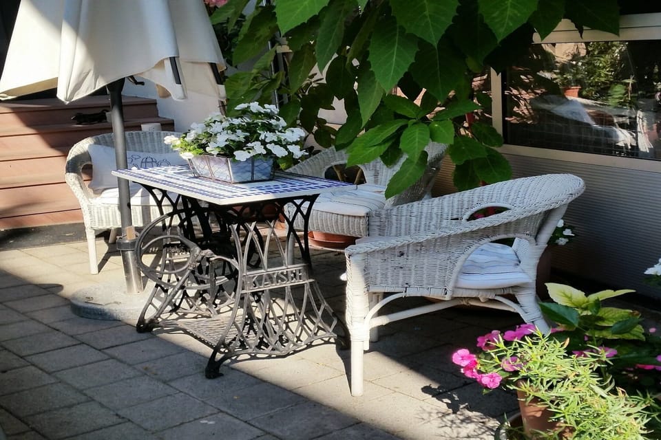 Garden [summer]
