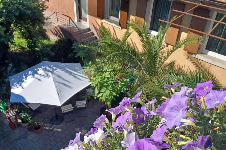 Patio / Balcony