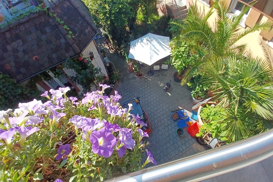 Patio / Balcony