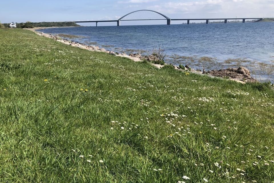Surroundings [summer] (1-5 km)