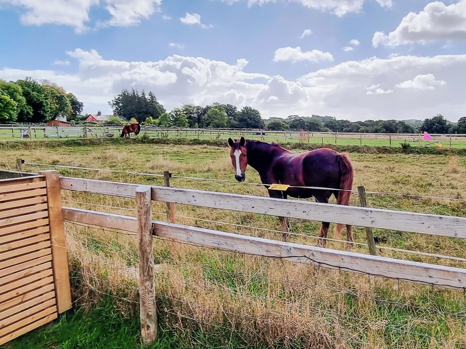 Surrounding area | Belvedere, Wimborne