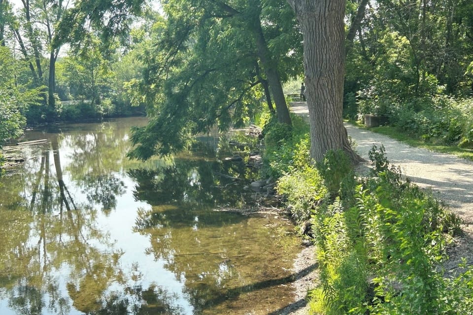 Liberty Park is steps away from the property