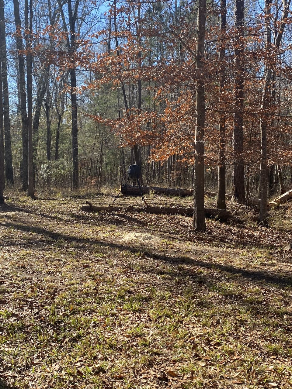 Deer feeders on the property. Be careful driving as the deer are everywhere.