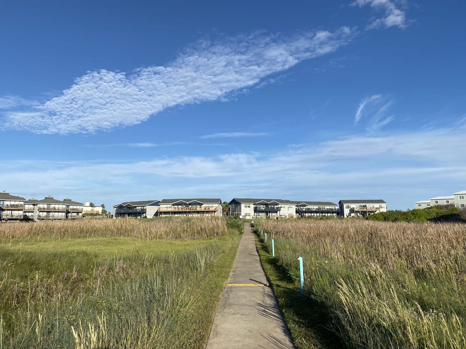 View from the walkway