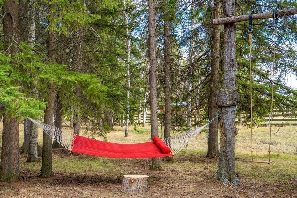Double Hammock and Swing