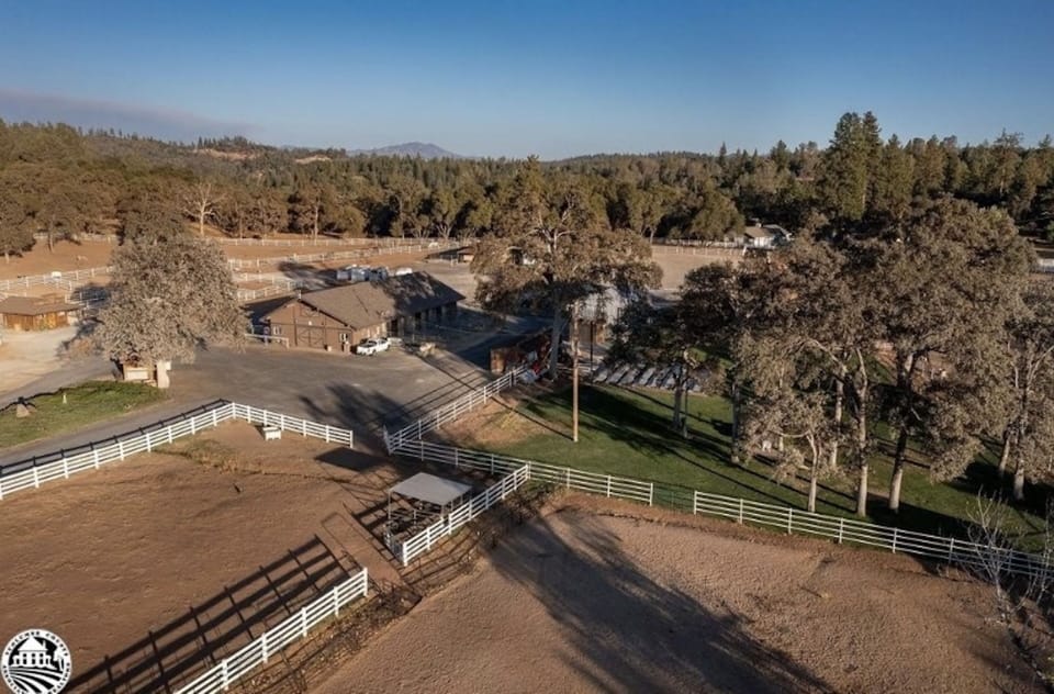 Equestrian