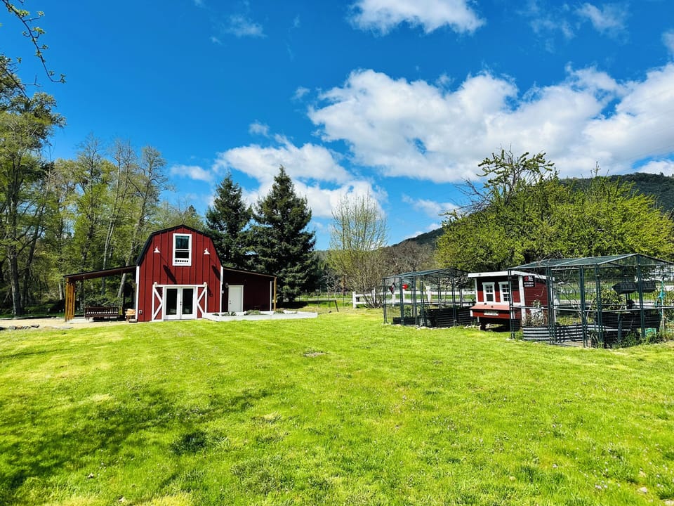 Farm in glorious Spring!
