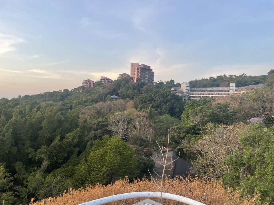 View from property