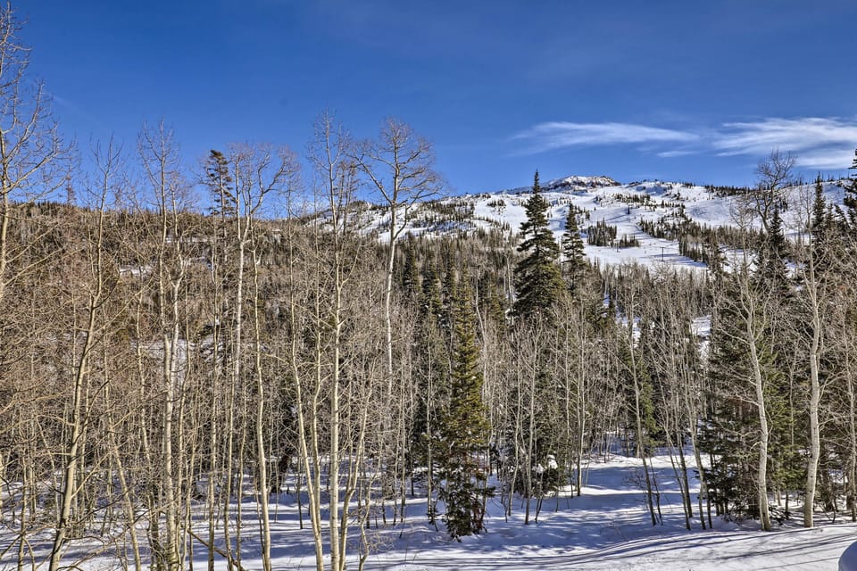 Ski Slope Views