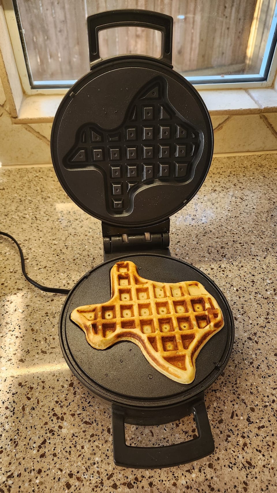 Texas waffle maker!