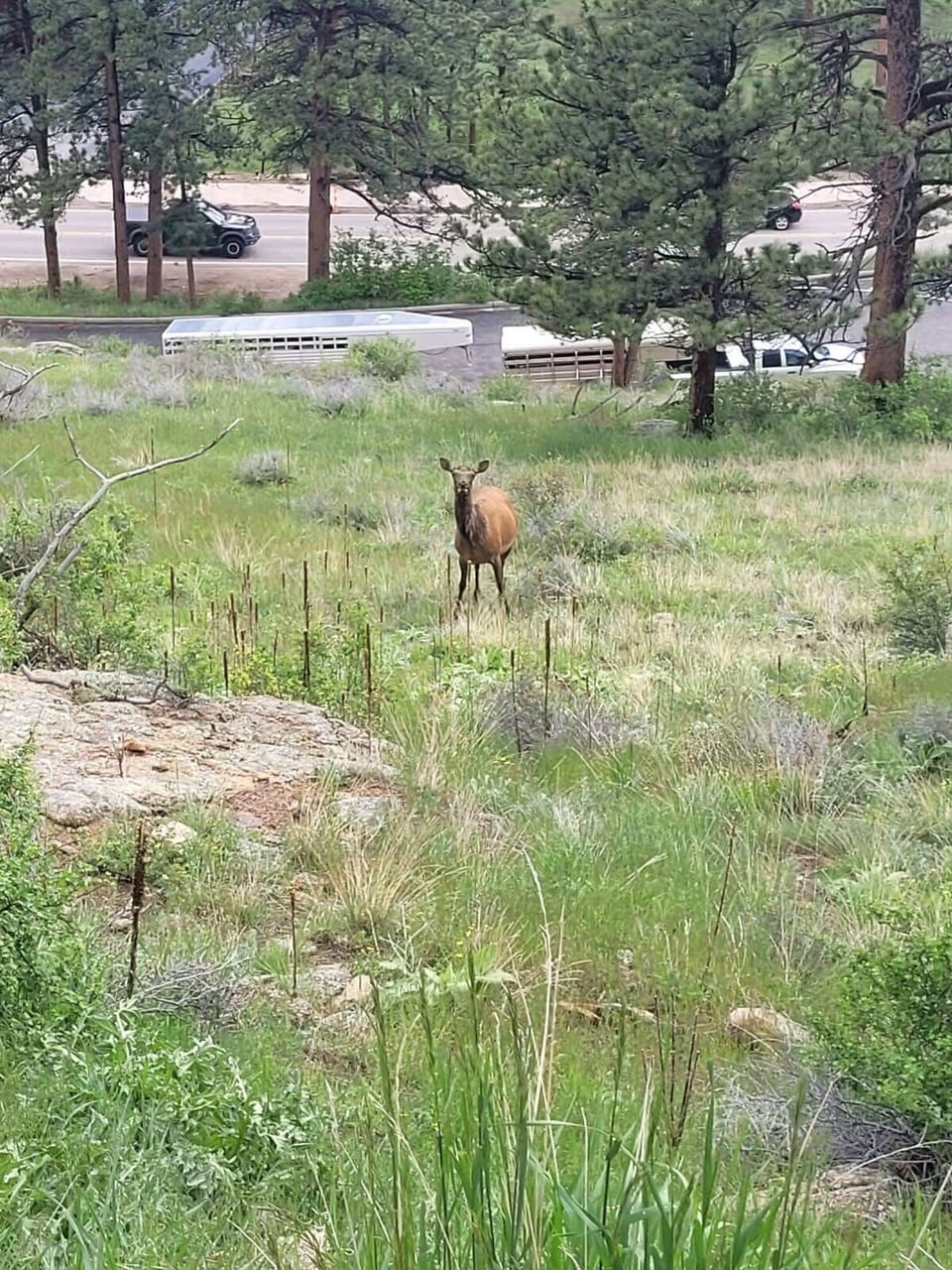 There are often wildlife sightings at the property!