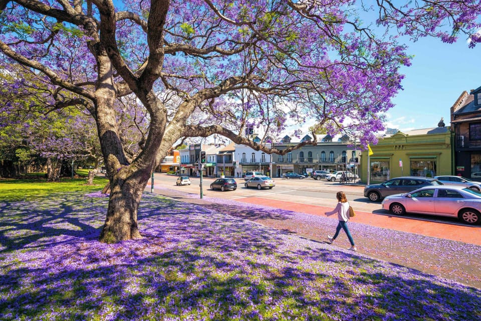 Location Shot: Enjoy a Stroll along Sydney's Famous Oxford ST .  Photo credit Destination NSW