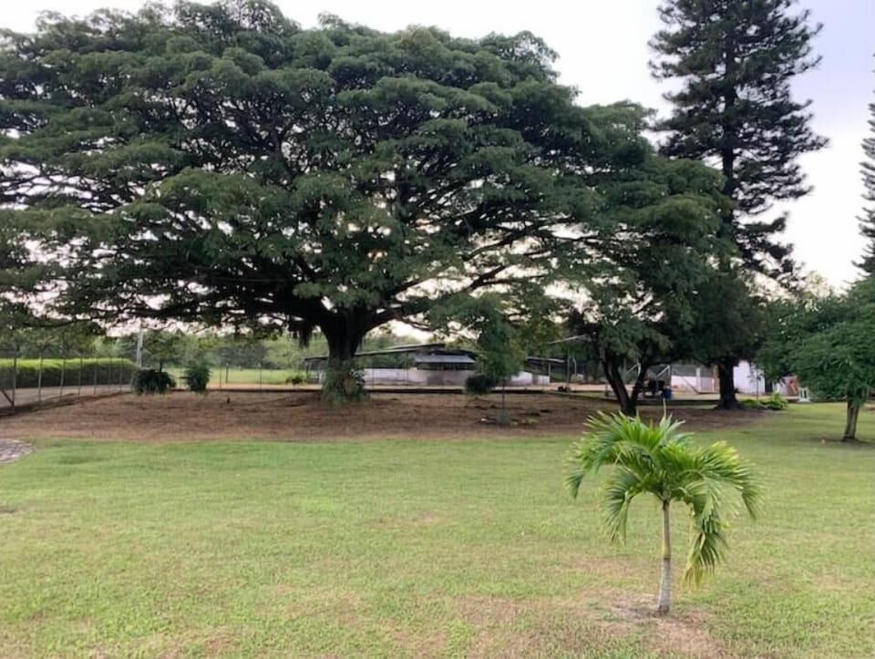 Property grounds
