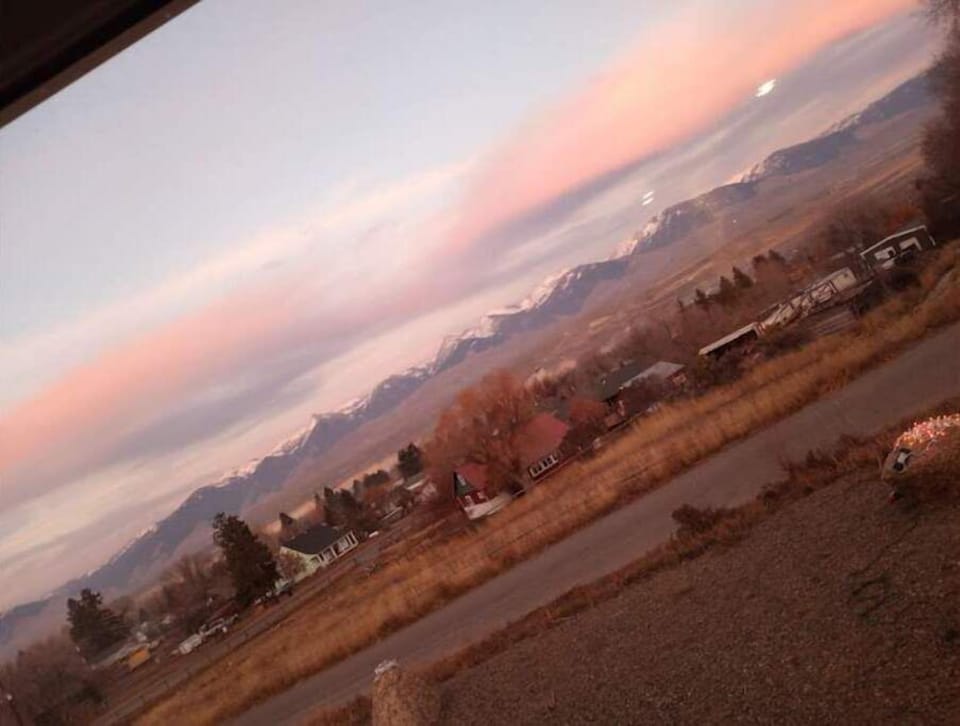 View from Window