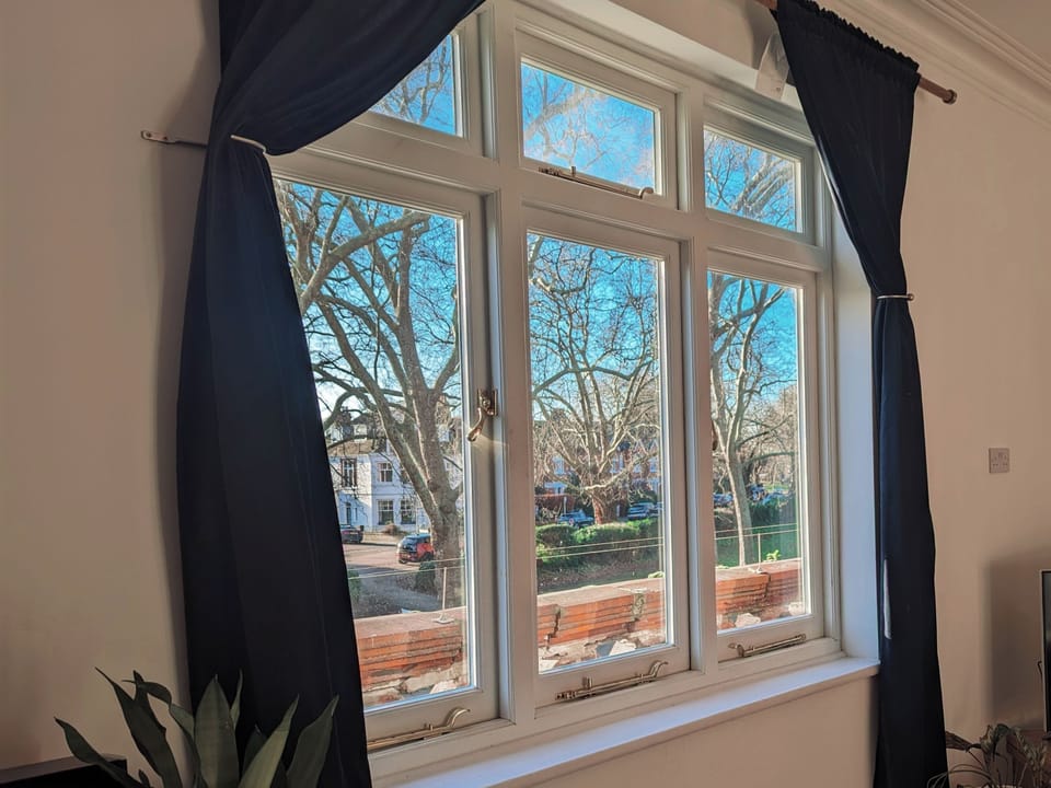 View from Livingroom Window