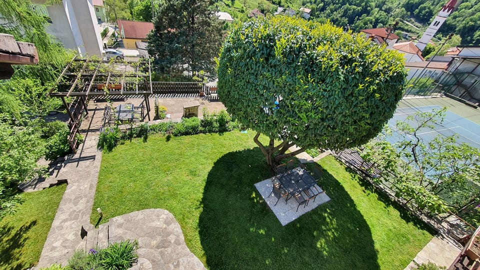 garden