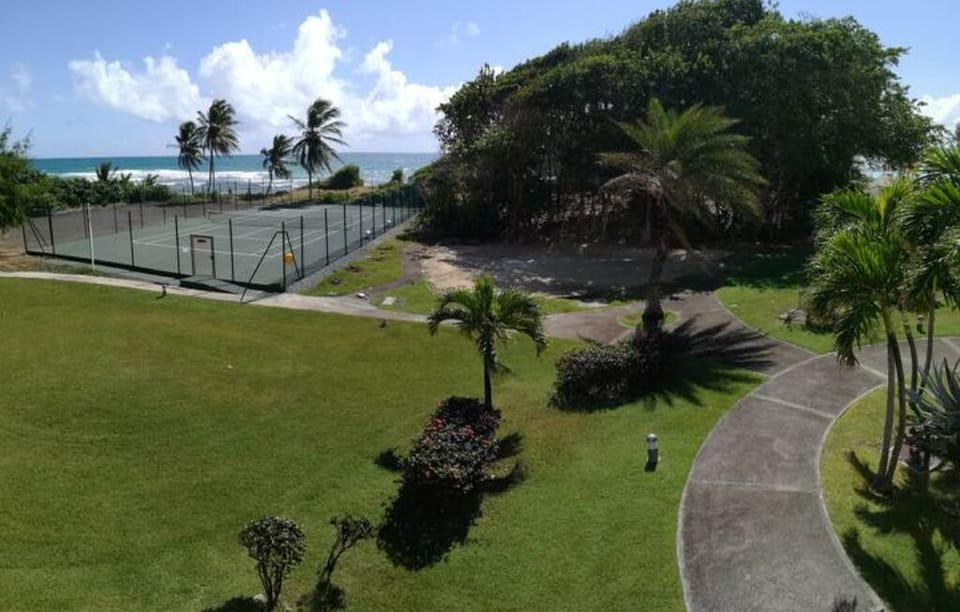 Sport court