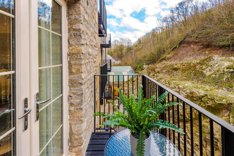Terrace / Patio