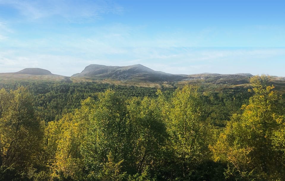view-from-room