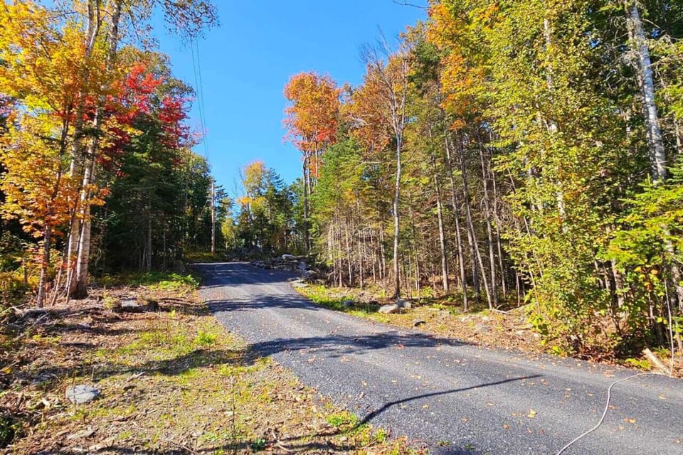 Neighborhood by the Cabin