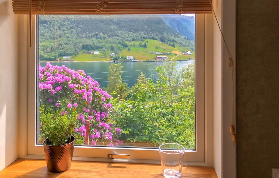 view-from-room
