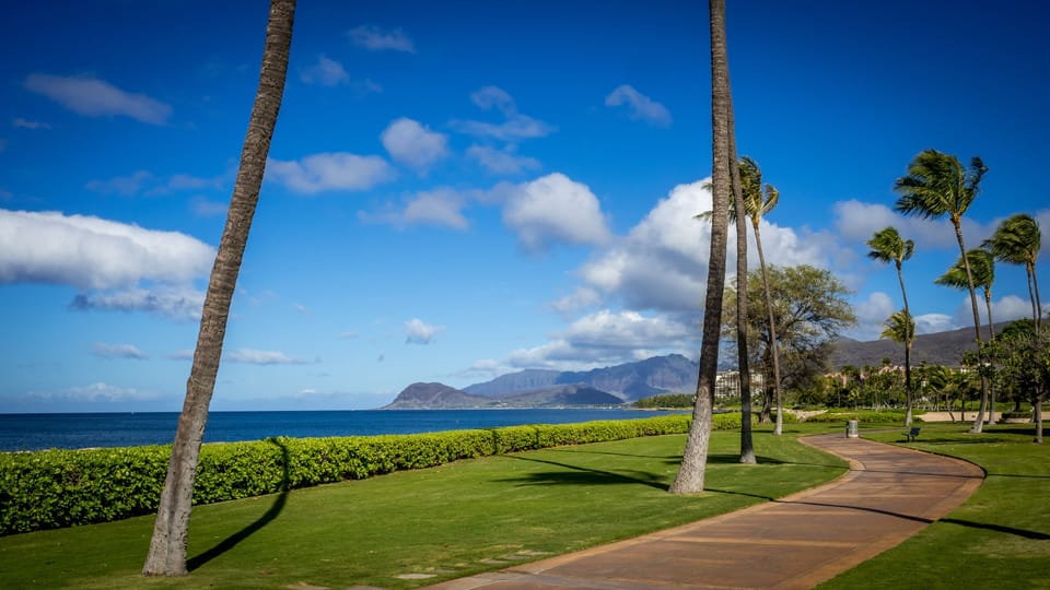 Stroll along paved waterfront paths lined with swaying palms and sweeping coastal views.