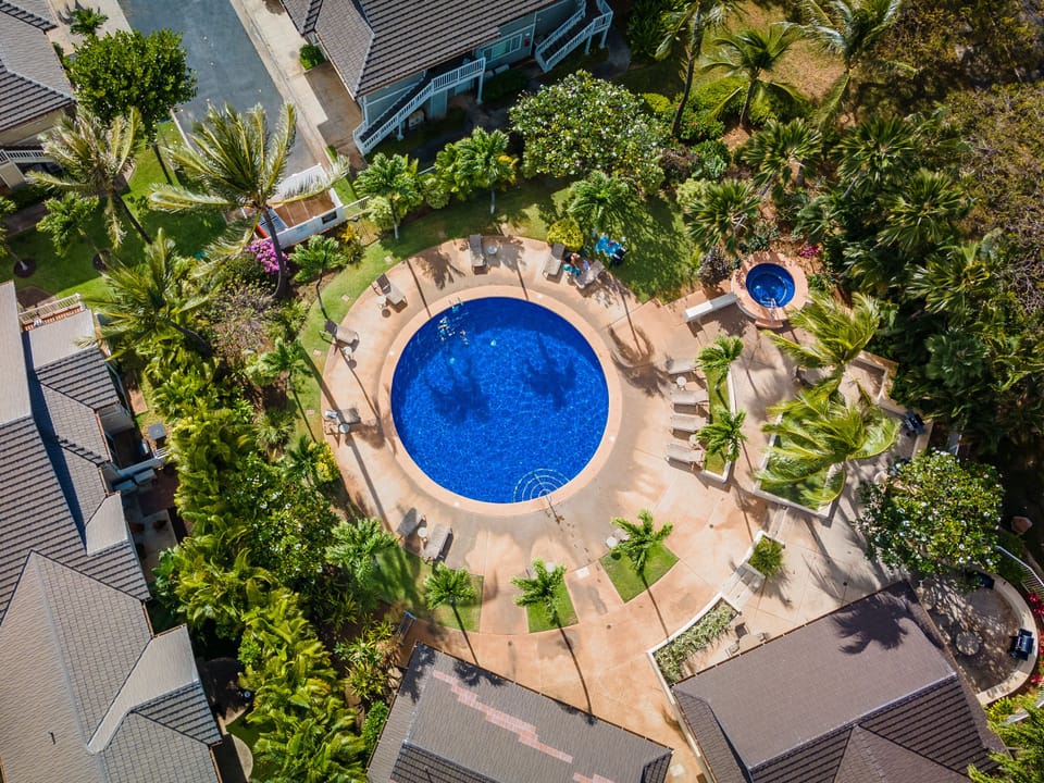 The tropical surroundings of the pool and hot tub.