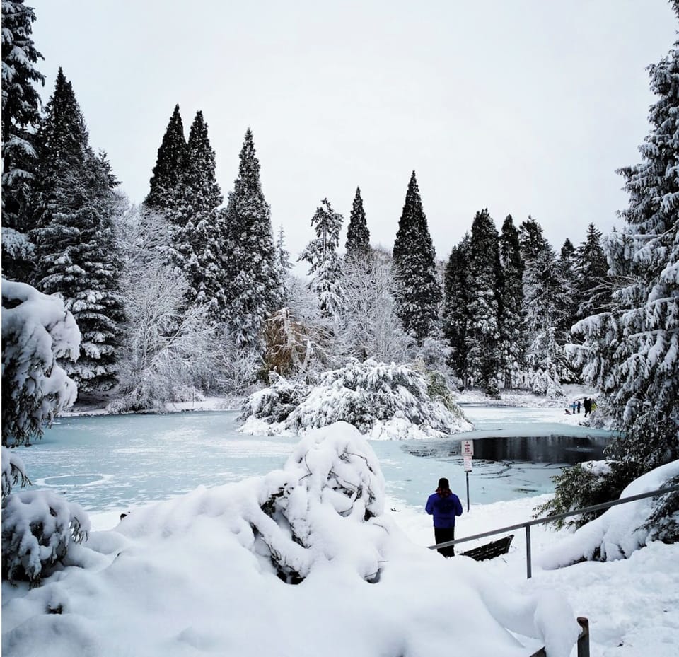 Laurelhurst park in winter