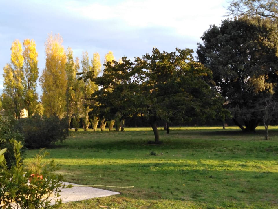Property grounds