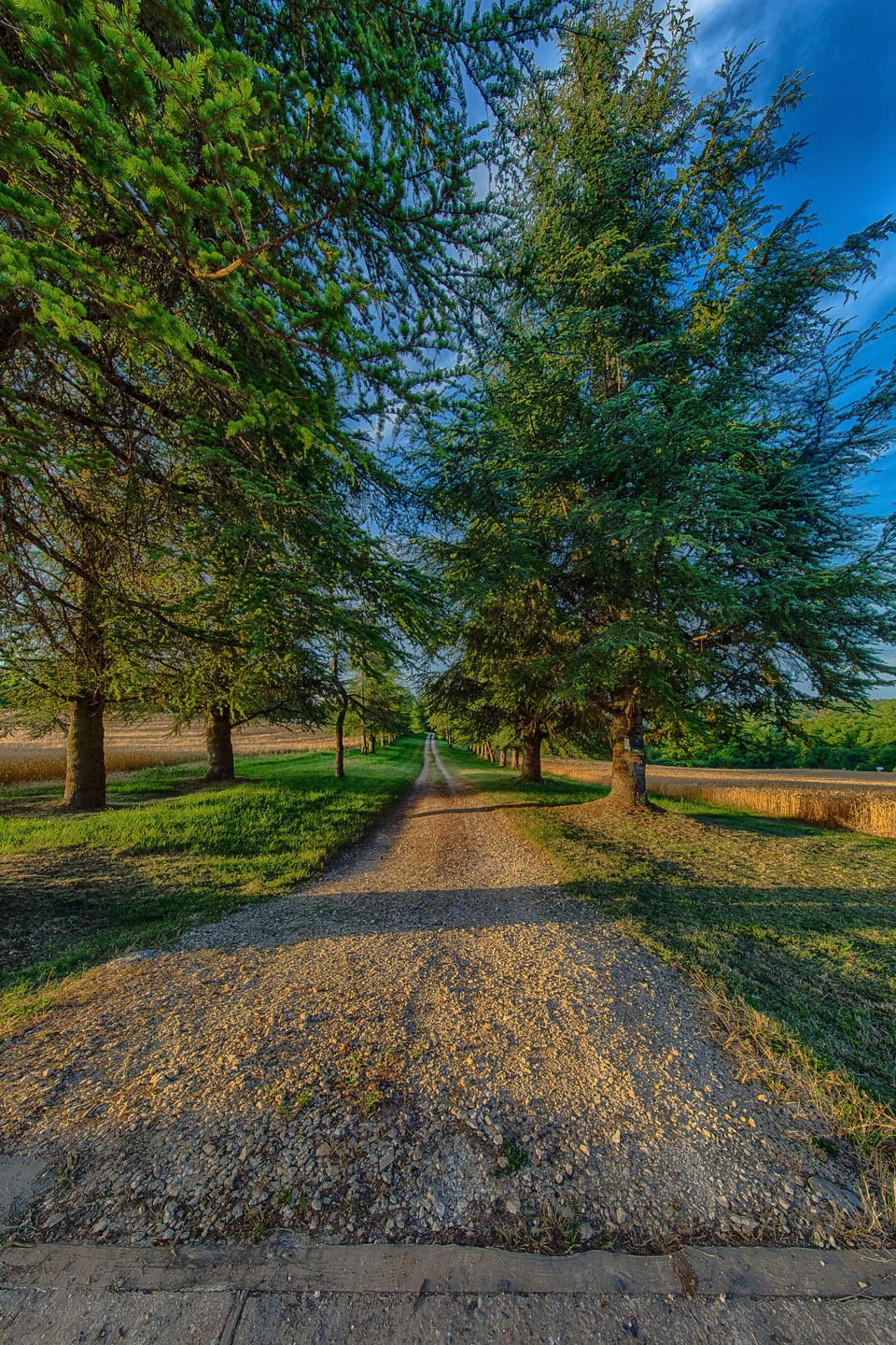 Driveway of Pinetrees