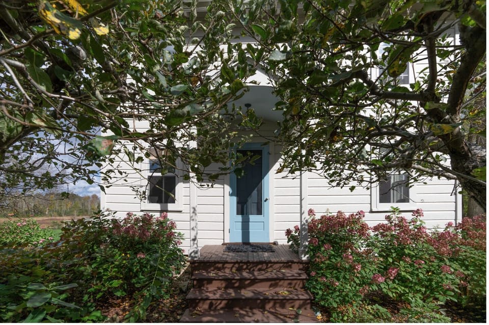Entrance to the cottage in August, with apple trees in full foliage.