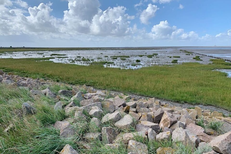 Surroundings [summer] (1-5 km)