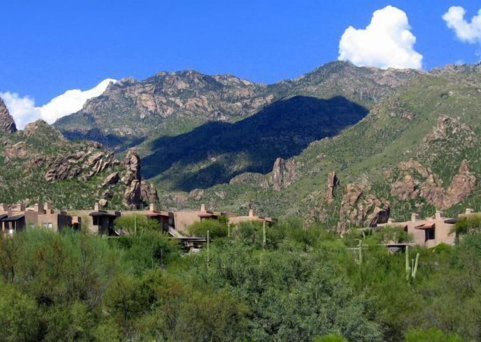 Beautiful desert setting
