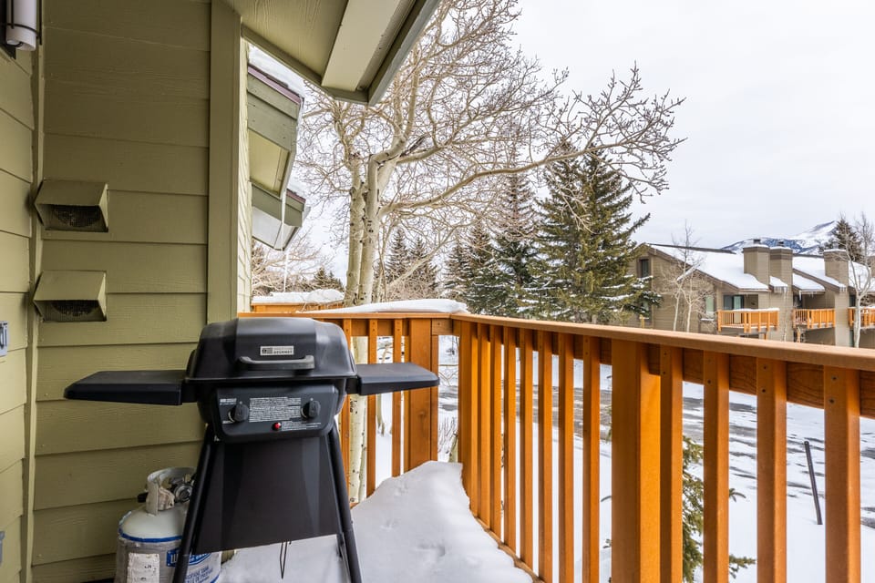 Private Gas BBQ on Patio off of Living Room