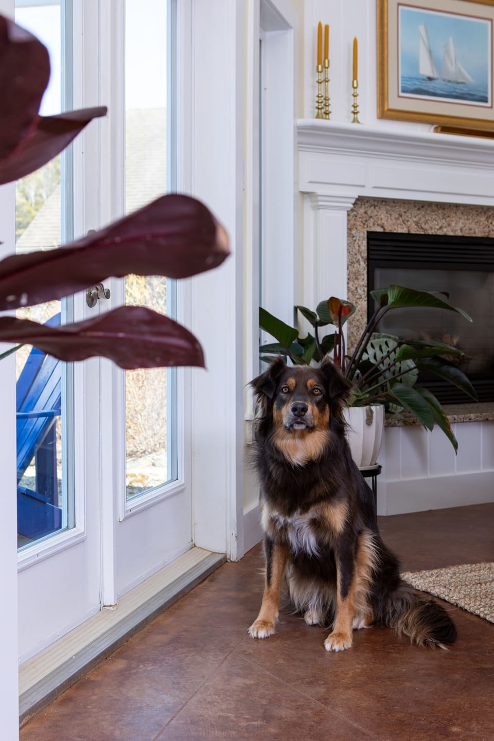 Always pup-friendly!