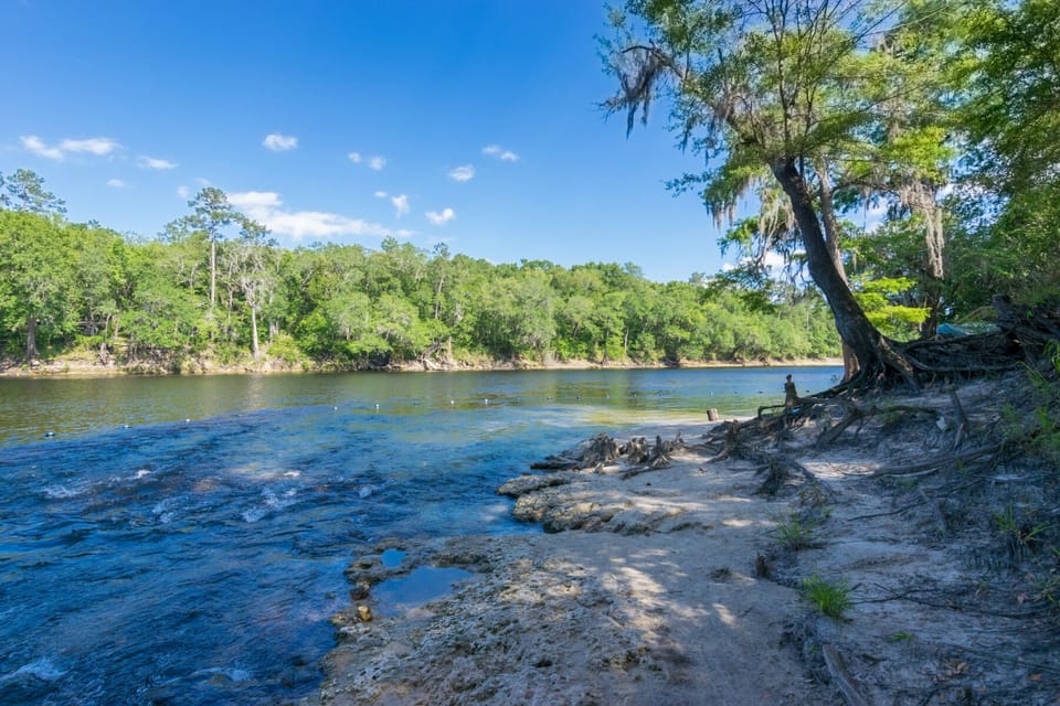 Suwannee River is not far down the road where you can hike, picnic or tube