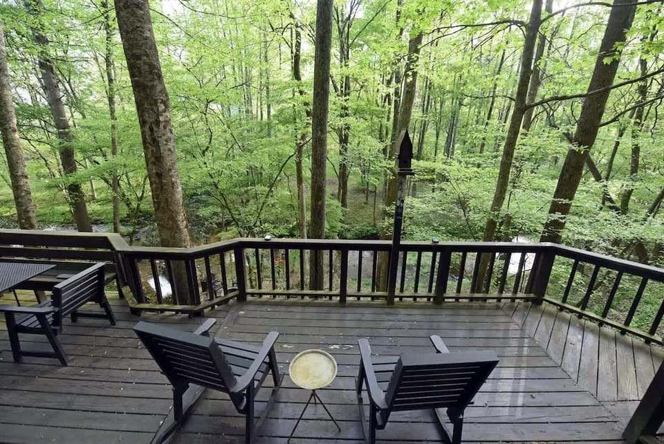 Enjoy the sights and sounds with morning coffee