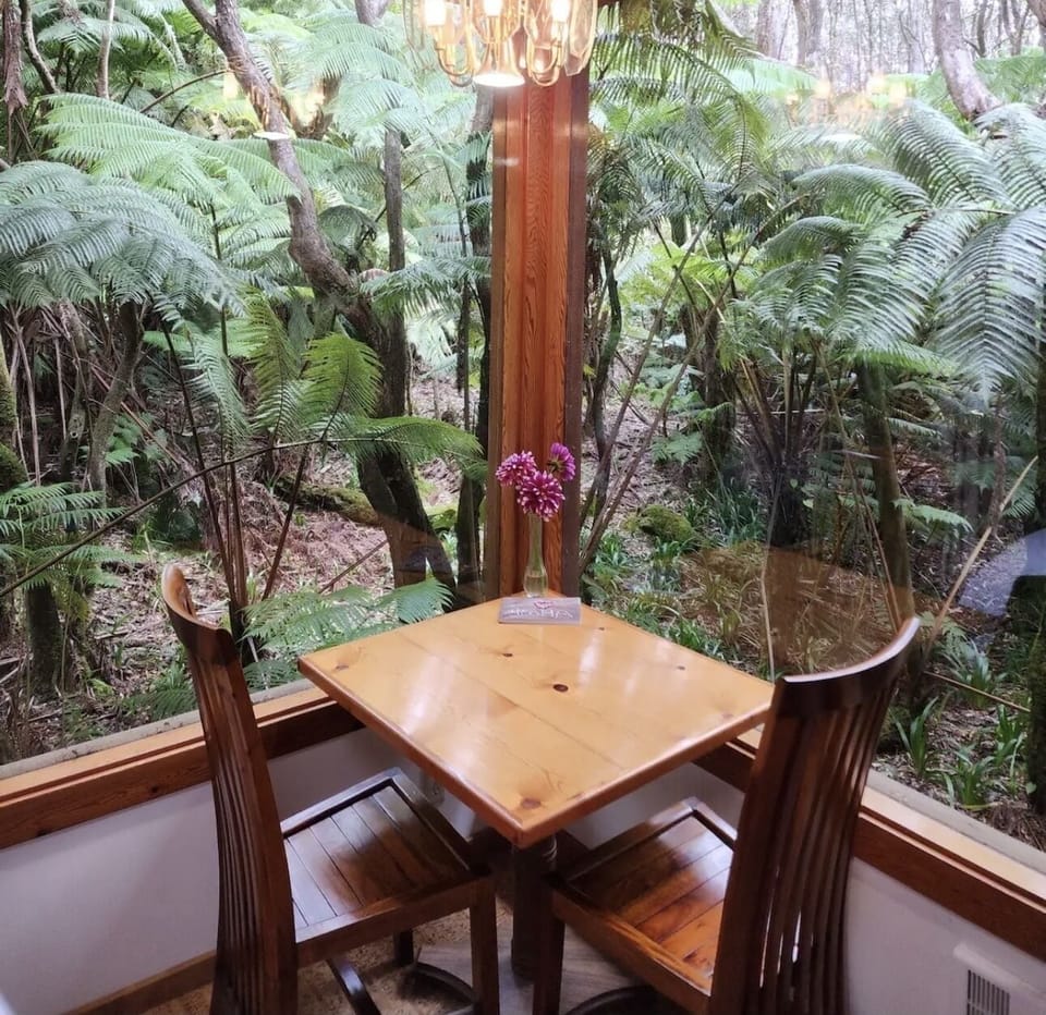The Hapu’u Room

Panorama view of the rainforest 