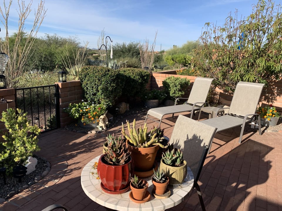 Nature, Outdoors, Yard, Chair, Furniture