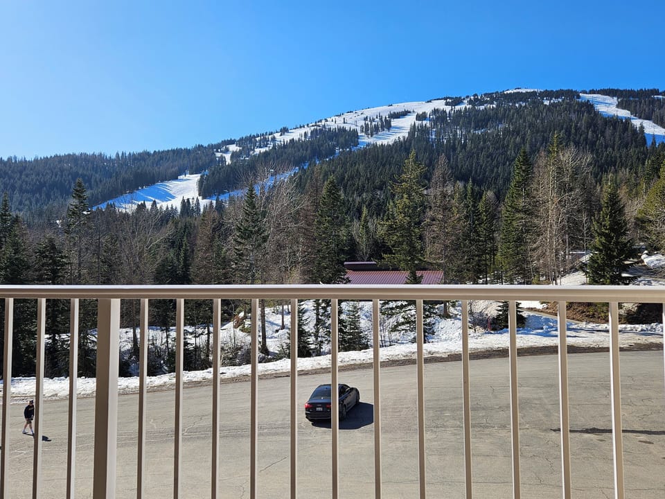 Looking South onto the downhill area. 