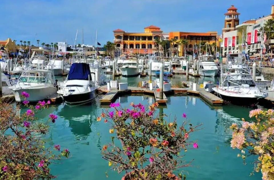 Marina