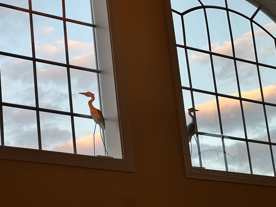 Stunning views from large windows which provide gorgeous light into livingroom