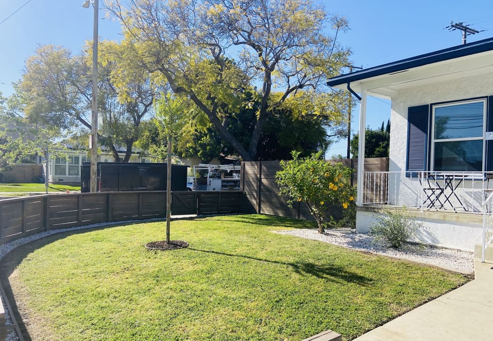 Front yard and patio 