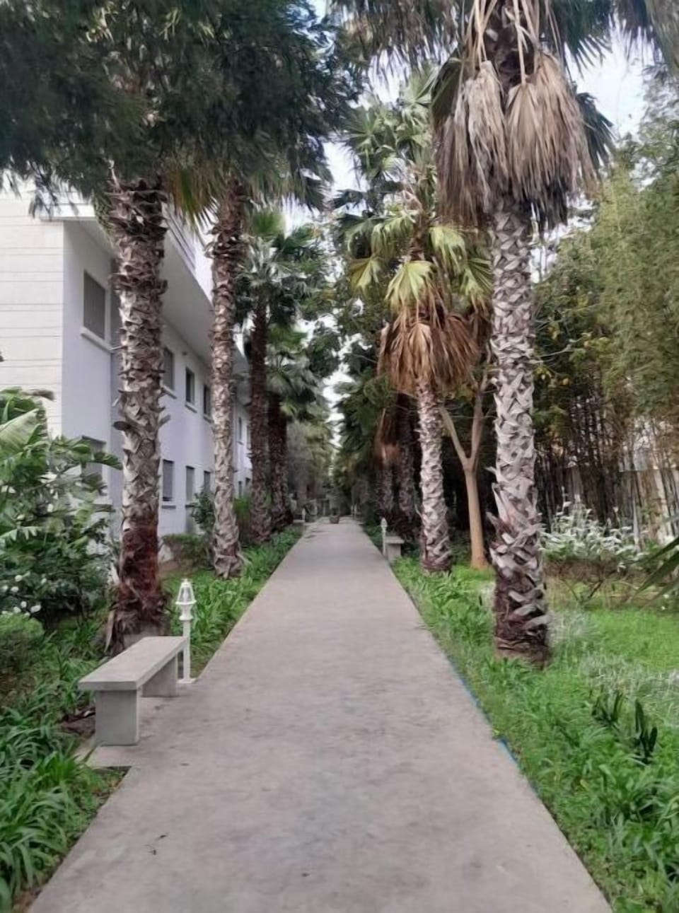 Property grounds